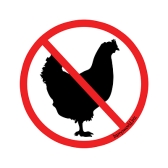No chickens